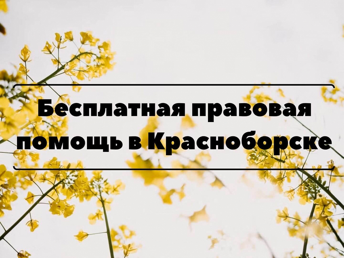 17 мая 2022 года - приём граждан в Красноборске
