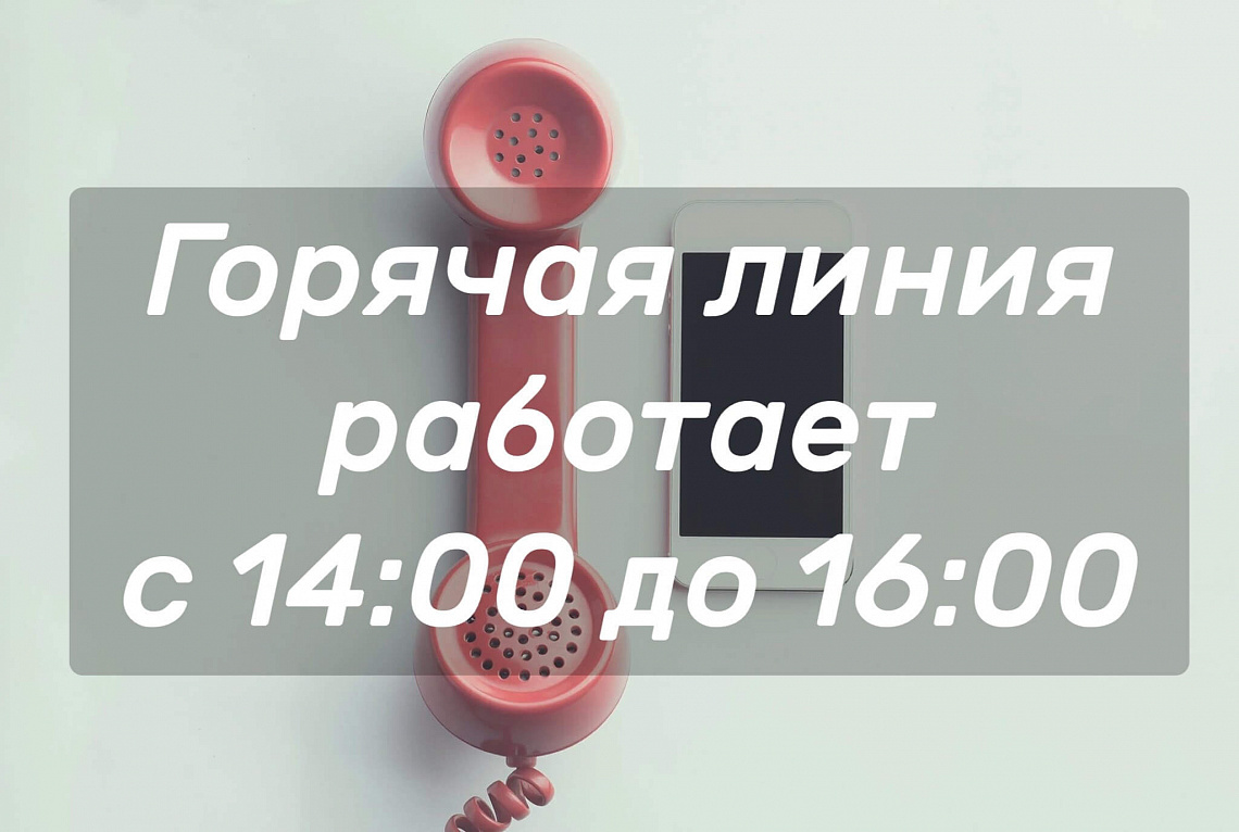 19 ноября 2021 года - Горячая линия