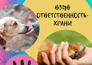 Итоги творческого конкурса 2021 (часть 5)