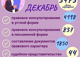 Статистика 2024 год